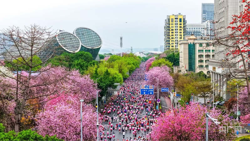数读中国开局新活力丨游客涨、预订旺 “春日经济”催热八桂消费市场