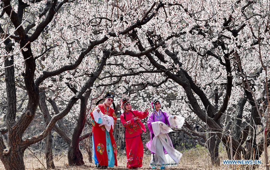 XINHUA PHOTO WEEKLY CHOICES (CN)