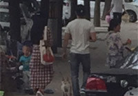 組圖：天天秀恩愛(ài)！范冰冰李晨甜蜜遛狗引圍觀