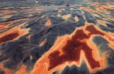 全國污染地塊至少30萬塊 絕大多數(shù)未被修復(fù)