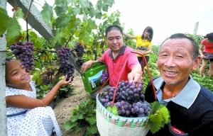 力爭“城鄉(xiāng)收入差距持續(xù)縮小” 富裕農(nóng)民出實(shí)招