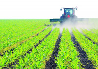 中央連發(fā)新政助推農(nóng)業(yè)發(fā)展