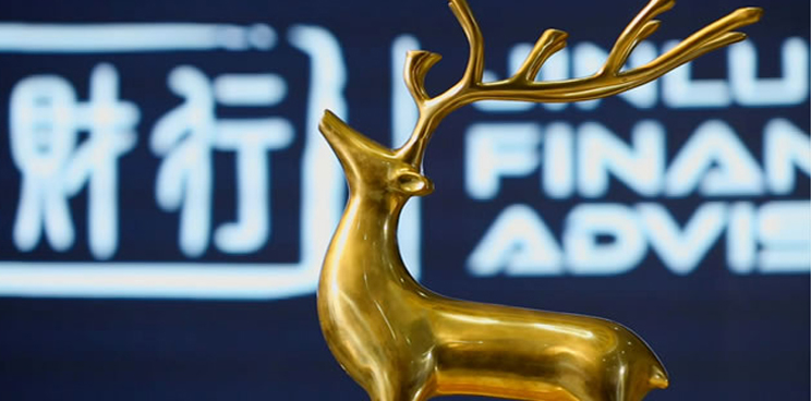 快鹿新掌門(mén)徐琪承諾兜底 望能全面正規(guī)化經(jīng)營(yíng)