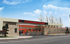 微晶閃耀，一名微晶助推建材新興產業(yè)升級