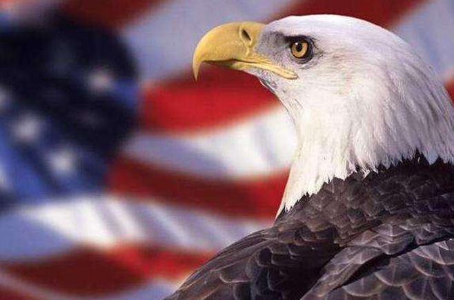 若鷹派掌權(quán)會發(fā)生什么？