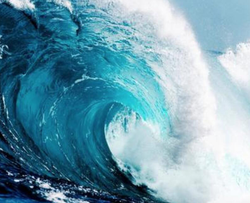 【財經(jīng)翻譯官】浪奔、浪流