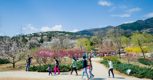 美到無法呼吸！&ldquo;西山晴雪&rdquo;攝影大賽來了