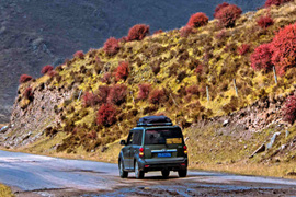 天微涼葉漸黃，最美風景是家鄉(xiāng)