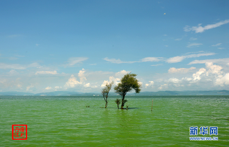 陽光昆明，爽爽的春城