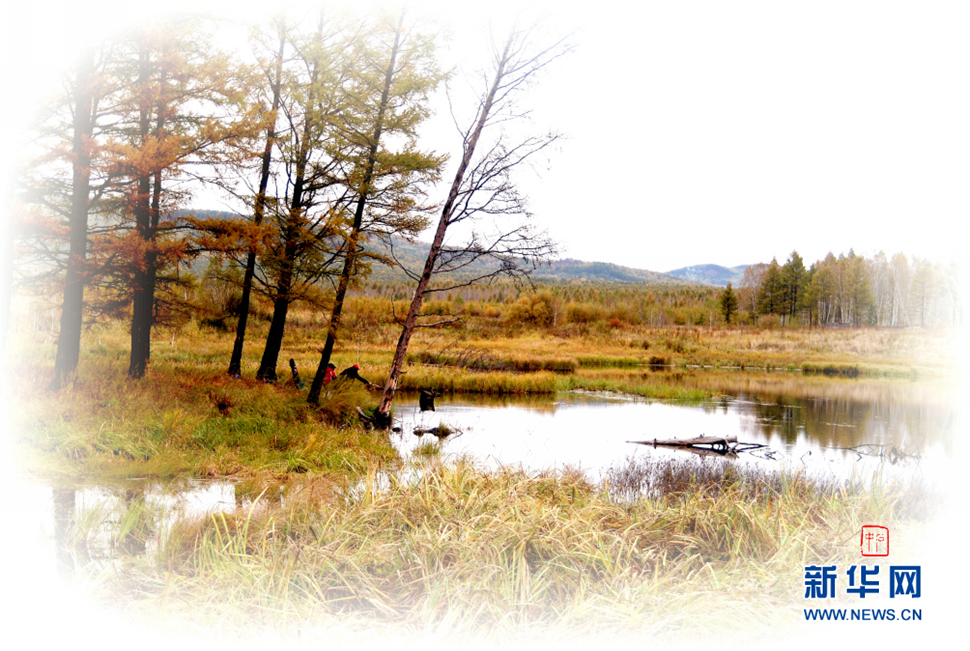 無(wú)盡畫意鏡頭中: 野色金秋