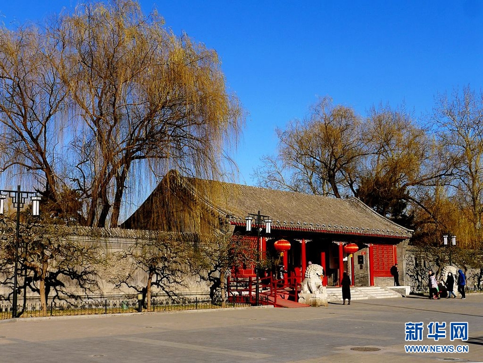 冬至，漫步大觀園