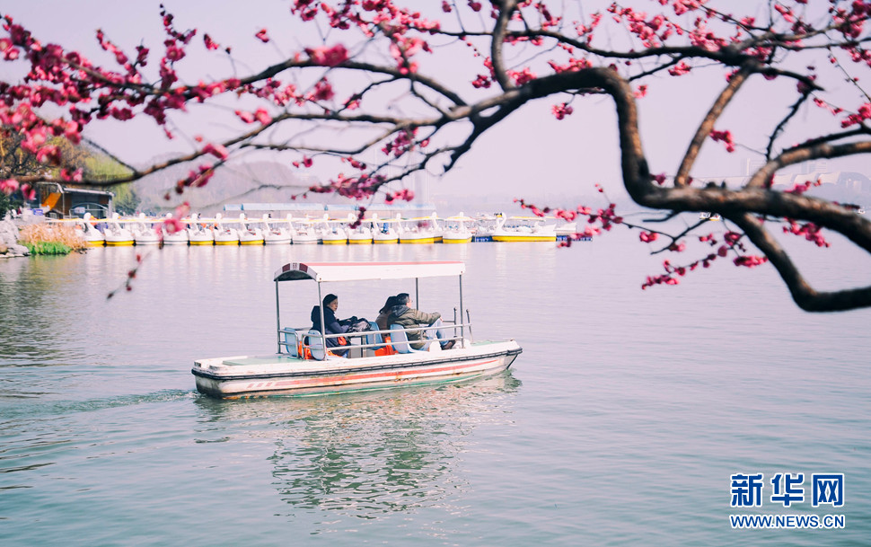 開(kāi)往春天的船