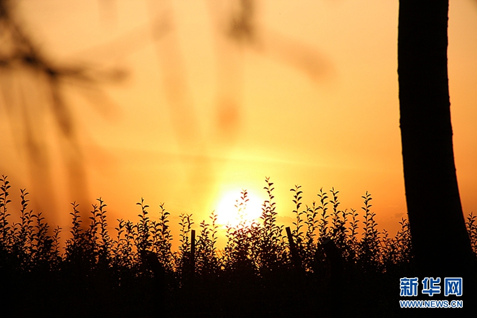 日落西山頭，人約黃昏后