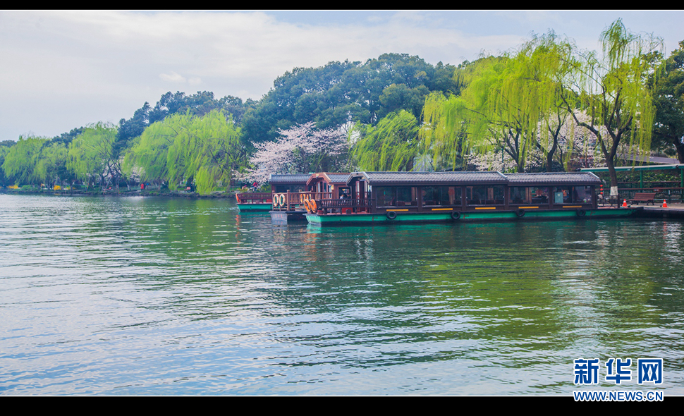 聽(tīng)風(fēng)西湖柳，聞香龍井茶