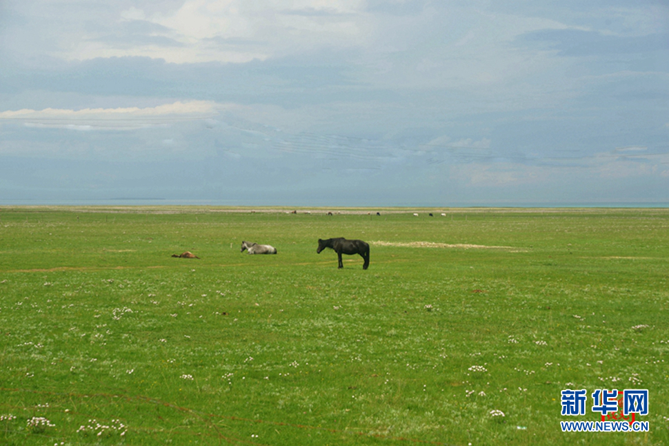 高原放歌之那山、那寺、那朵云