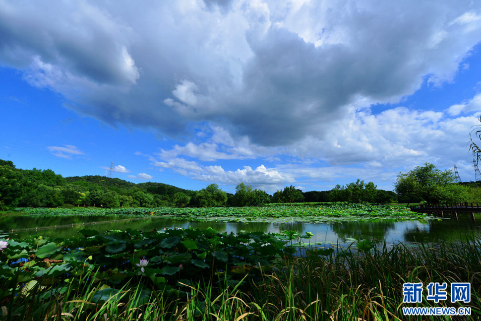 秋高氣爽，行攝八掛田