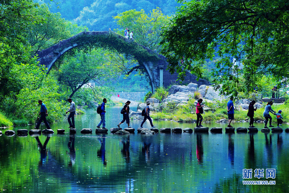 美呆了，中村