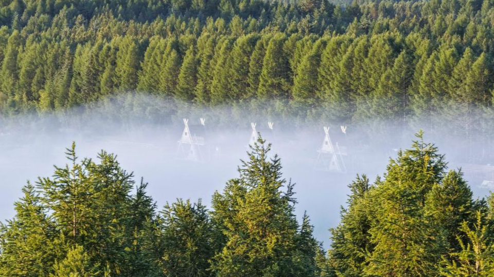 新華鮮報 | 春已至！“植”綠山河