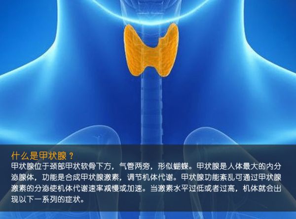關(guān)注甲狀腺健康，你應(yīng)該知道的那些事
