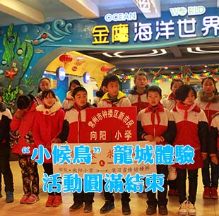 第52個學雷鋒日 &ldquo;小候鳥&rdquo;龍城體驗活動圓滿結(jié)束