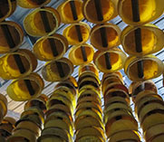 邊緣居住 關(guān)注城市建造者