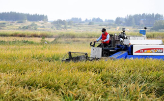 40年，小崗人的18個(gè)&ldquo;第一次&rdquo;