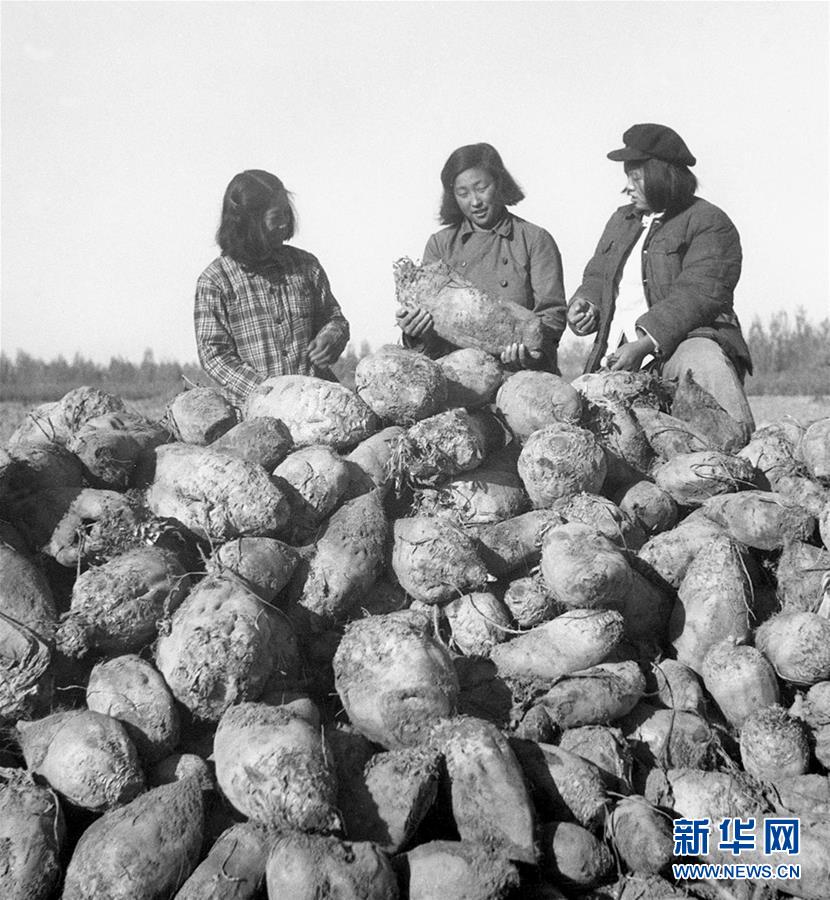 （圖文互動）（2）為了&ldquo;中國號&rdquo;巨輪揚(yáng)帆遠(yuǎn)航&mdash;&mdash;中國共產(chǎn)黨領(lǐng)導(dǎo)下的人民軍隊忠于祖國、服務(wù)人民啟示錄