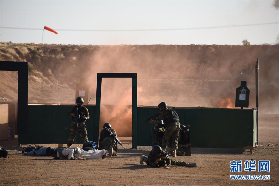 （國際&middot;圖文互動）（3）&ldquo;海洋衛(wèi)士-2020&rdquo;中巴海上聯(lián)合演習(xí)閉幕