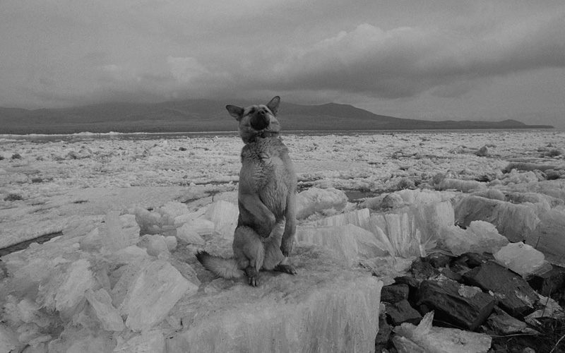 線云強(qiáng)作品:東方第一哨，最早迎接太陽的士兵