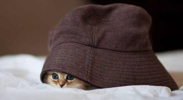 老外搞怪！facebook插圖欣賞(組圖)