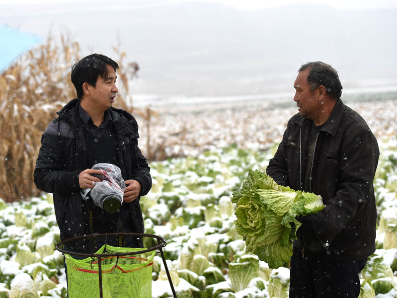 新華社山西分社燕雁：心中有愛(ài) 腳下是根