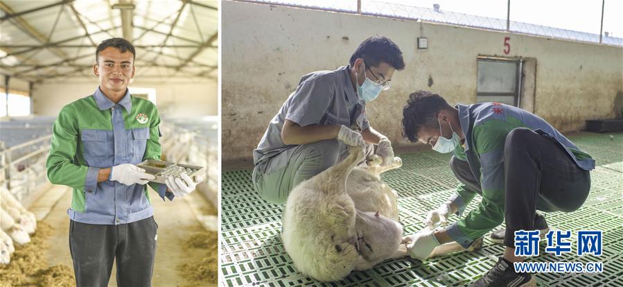 （脫貧攻堅&middot;圖片故事）（9）脫貧靠雙手&mdash;&mdash;新疆和田地區(qū)未摘帽縣就業(yè)見聞