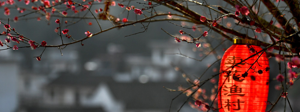 春來(lái)花開(kāi)，綻放正當(dāng)時(shí)