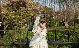 徜徉櫻花花海，來(lái)場(chǎng)動(dòng)漫之旅