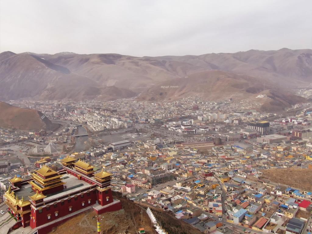 震后11年，玉樹(shù)正芳華