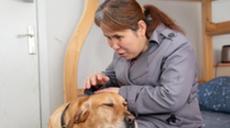 &ldquo;有你在身旁，真好&rdquo;