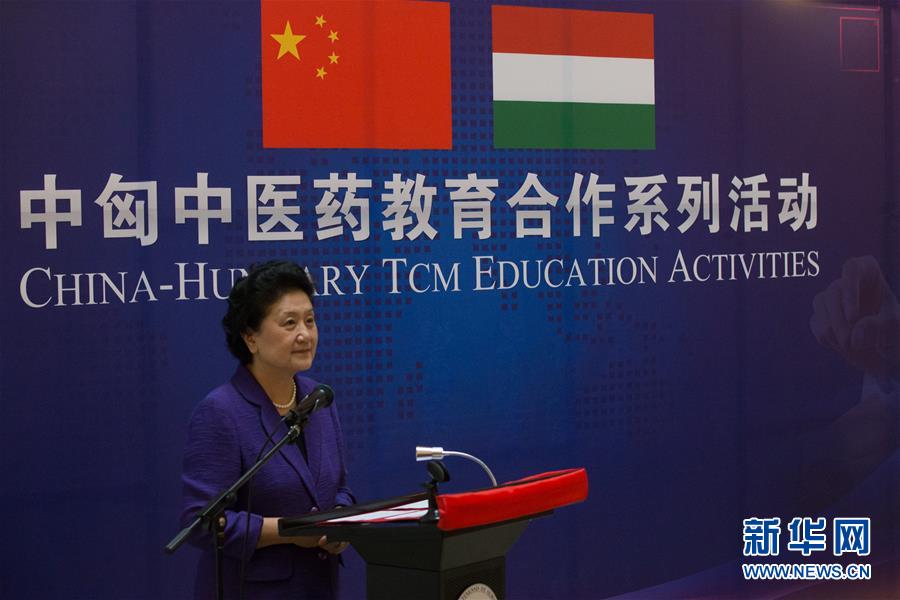 6月18日，在匈牙利布達佩斯，中國國務院副總理劉延東出席中匈中醫(yī)藥教育合作系列活動時講話。中國國務院副總理劉延東18日在布達佩斯考察匈牙利塞梅爾維斯醫(yī)科大學并出席中匈中醫(yī)藥教育合作系列活動。 新華社發(fā)（弗爾季&middot;奧蒂洛攝）