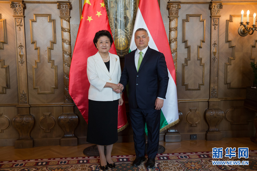  6月21日，國務(wù)院副總理劉延?xùn)|（左）在匈牙利布達佩斯國會大廈會見匈牙利總理歐爾班。 新華社發(fā)（弗爾季&middot;奧蒂洛攝）