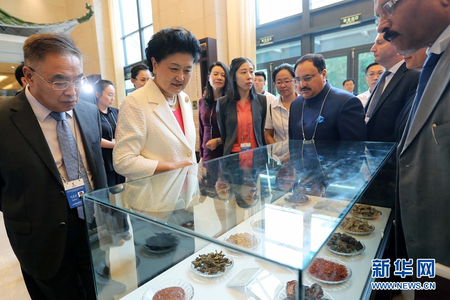 7月6日，金磚國(guó)家衛(wèi)生部長(zhǎng)會(huì)暨傳統(tǒng)醫(yī)藥高級(jí)別會(huì)議在天津開(kāi)幕。這是國(guó)務(wù)院副總理劉延?xùn)|與外賓一起參觀傳統(tǒng)醫(yī)藥文化展。 新華社記者 張玉薇 攝