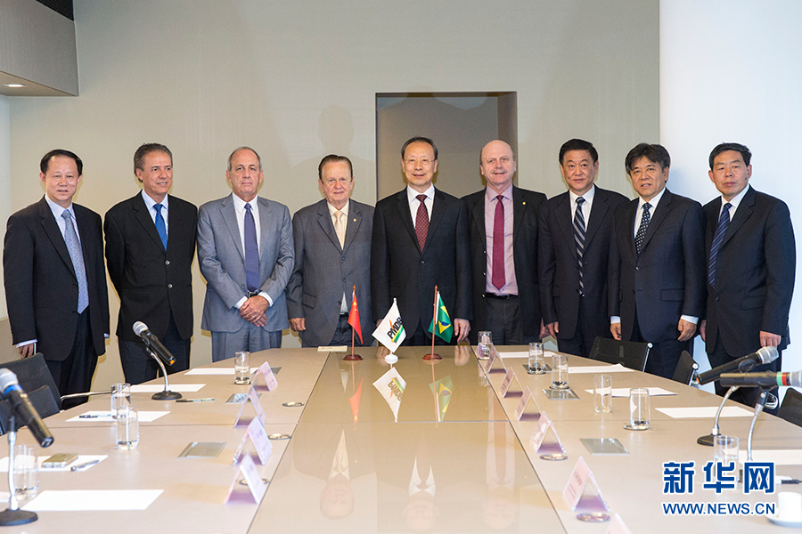 7月11日，在巴西首都巴西利亞，中共中央書記處書記、全國政協(xié)副主席杜青林（中）會(huì)見巴西民主運(yùn)動(dòng)黨總書記毛羅&middot;洛佩斯（左四）。新華社記者李明攝