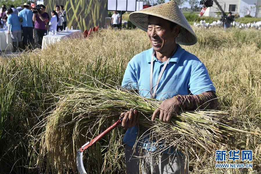 (新華全媒頭條·圖文互動(dòng))(2)歷史性飛躍的偉大實(shí)踐——中國共產(chǎn)黨引領(lǐng)中國特色社會(huì)主義開辟發(fā)展新境界述評