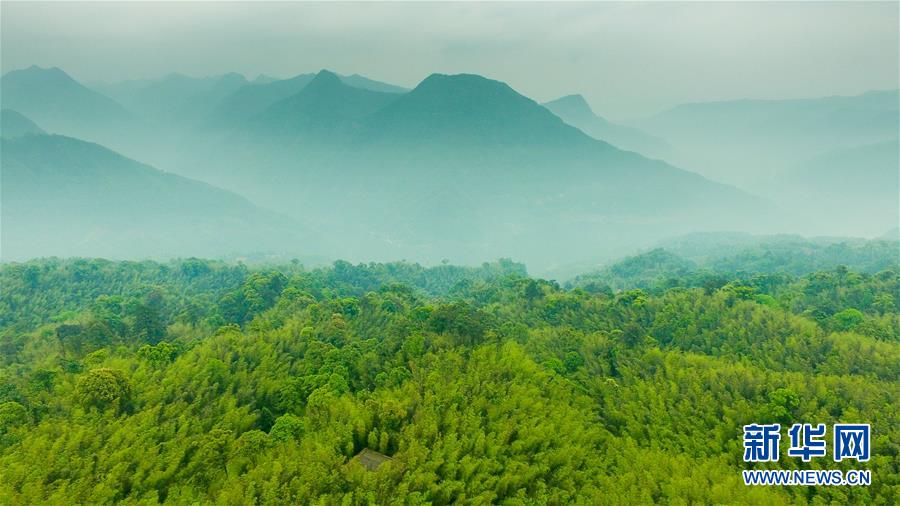 （新華全媒頭條&middot;圖文互動）（9）赤水：別了，貧困！