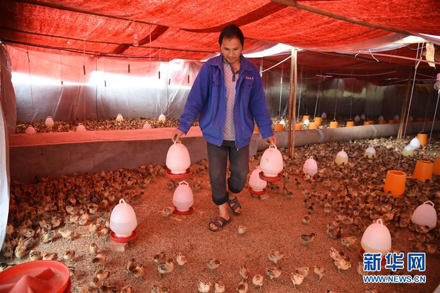 （新華全媒頭條&middot;圖文互動）（8）赤水：別了，貧困！