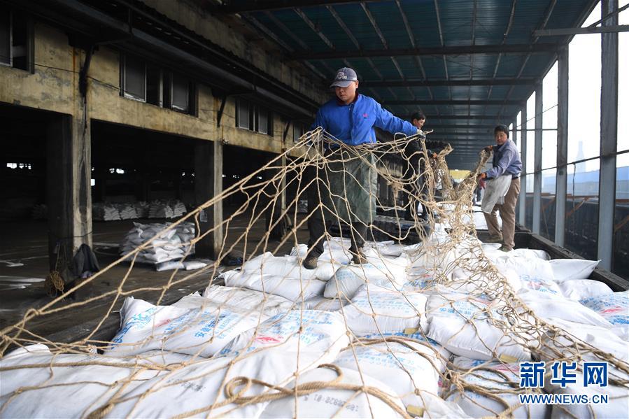 （新春走基層）（4）安徽：農資&ldquo;春運&rdquo;助春耕