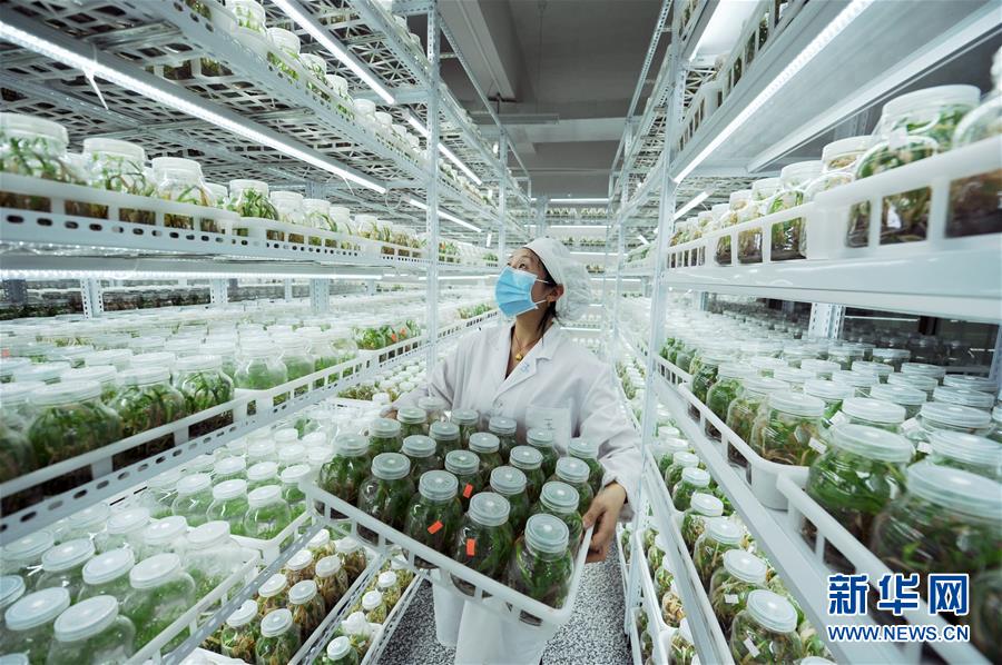 （新華全媒頭條&middot;兩會精神看落實&middot;圖文互動）（1）適應(yīng)發(fā)展新方位 奮進決勝長征路