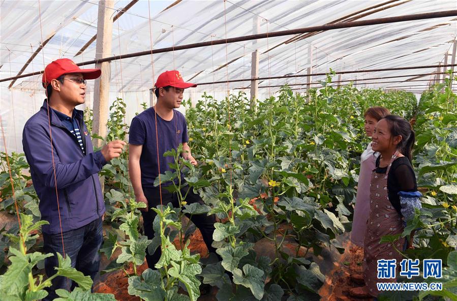 （社會(huì)）（3）云南尋甸：脫貧攻堅(jiān)中的&ldquo;小紅帽&rdquo;幫扶隊(duì)