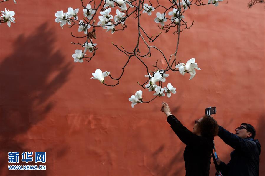 (在習(xí)近平新時代中國特色社會主義思想指引下——新時代新氣象新作為·新華全媒頭條·圖文互動)(1)最濃是這中國紅——北京市西城區(qū)弘揚(yáng)紅墻意識深化改革發(fā)展紀(jì)實