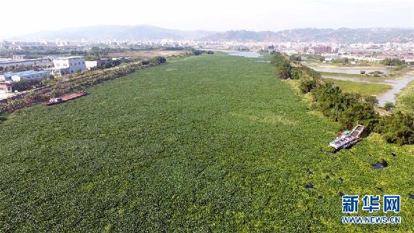 （圖文互動）（1）&ldquo;白練&rdquo;變&ldquo;黑龍&rdquo;，江河變&ldquo;草原&rdquo;－－粵東母親河為何污染20多年難治理？