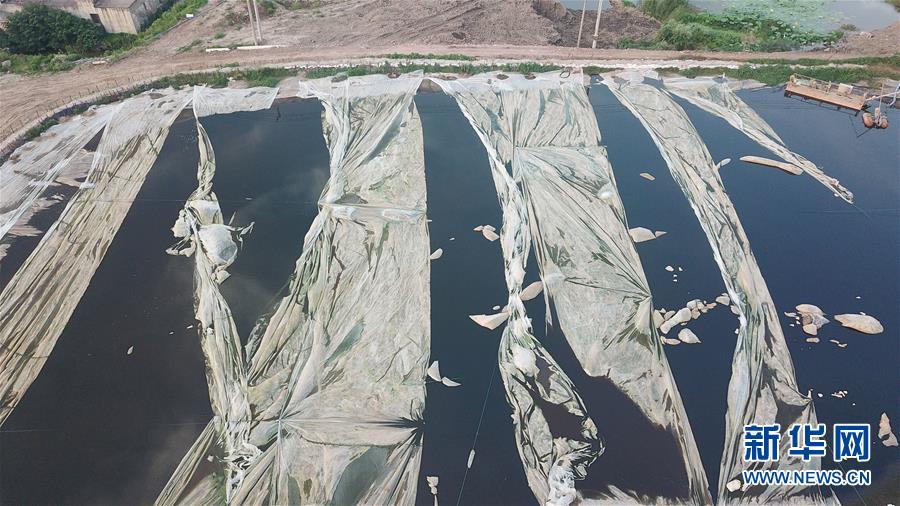 （新華視點(diǎn)&middot;圖文互動）（4）中央督察兩年有的絲毫未改，有的不減反增&mdash;&mdash;江蘇泰興數(shù)萬噸化工廢料和污泥堆放長江邊調(diào)查