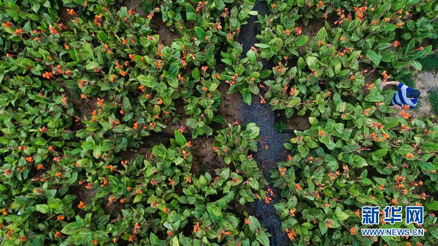 （在習(xí)近平新時(shí)代中國(guó)特色社會(huì)主義思想指引下&mdash;&mdash;新時(shí)代新作為新篇章&middot;圖文互動(dòng)）（5）稀奇！治污濕地成了休閑公園&mdash;&mdash;江蘇蘇州全域推進(jìn)農(nóng)村生活污水治理